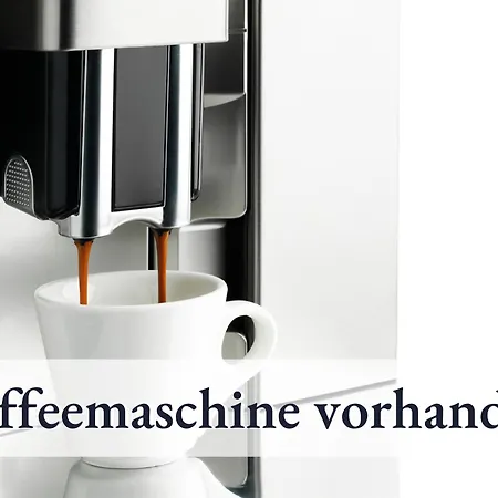 公寓 Holiday&stay, Stay, Kueche, 85zoll Tv, Wlan 韦因加尔滕